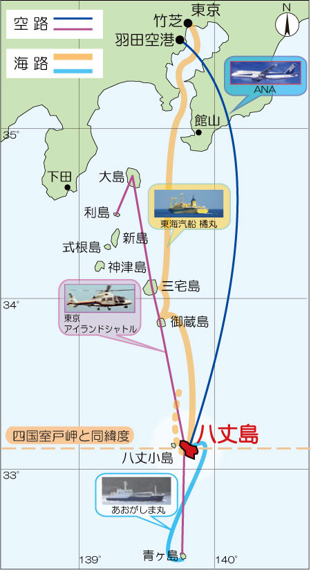 明日叶的诞生地—日本八丈岛